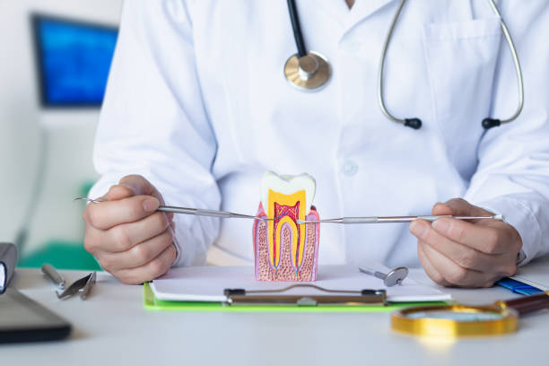Best Walk-In Emergency Dentist in Crescent City, CA